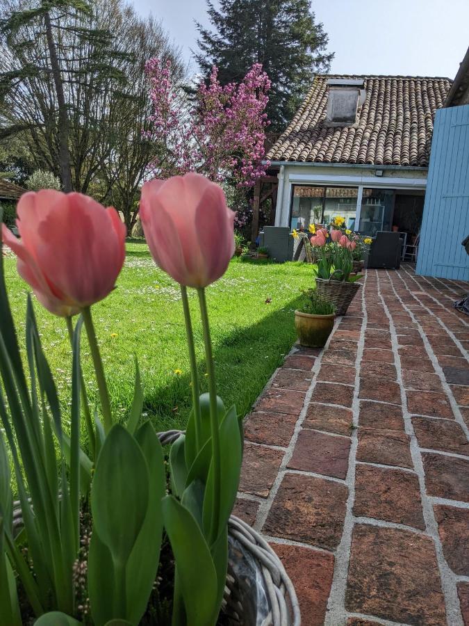 Domaine Du Tafiart Bed & Breakfast Sarron Exterior foto