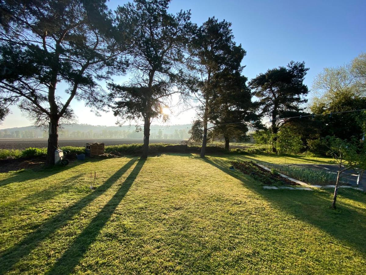 Domaine Du Tafiart Bed & Breakfast Sarron Exterior foto