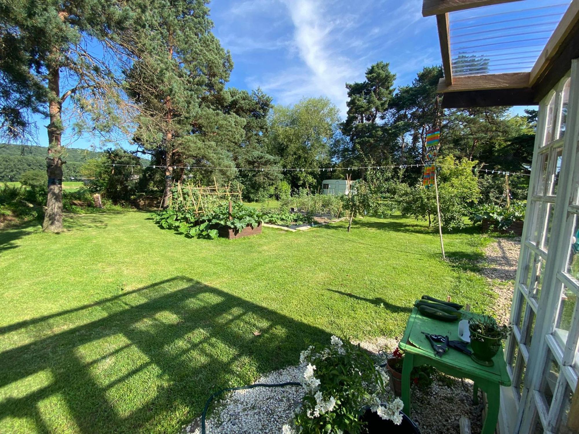 Domaine Du Tafiart Bed & Breakfast Sarron Exterior foto